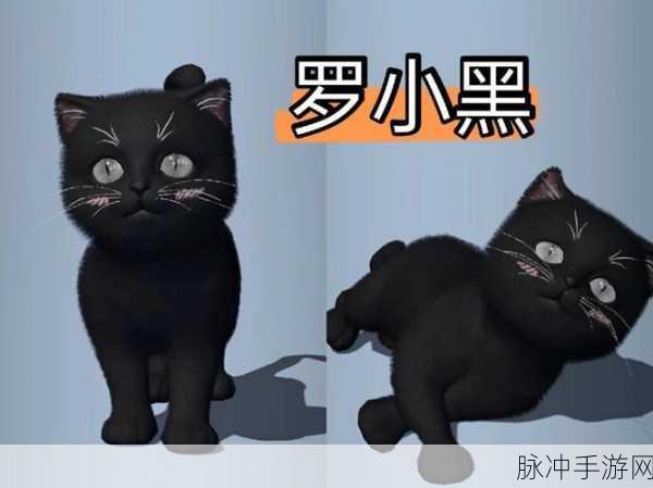 2025年热门猫手游深度解析，交易繁育攻略与天涯明月刀猫咪玩法全揭秘