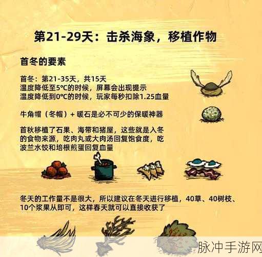 饥荒汉化全攻略，解锁生存冒险新篇章