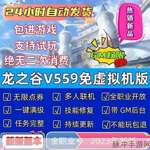 龙之谷加速器使用全解析，畅享丝滑游戏体验