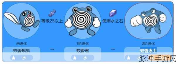 精灵宝可梦GO蚊香蝌蚪,水边精灵的奇妙之旅