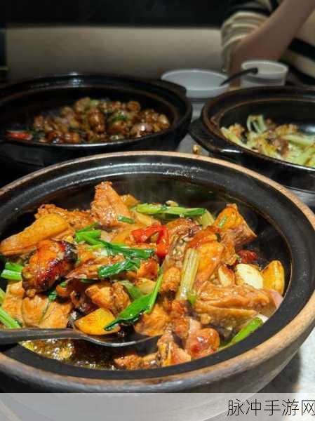 江湖悠悠，解锁砂锅鸡汤的美味秘籍