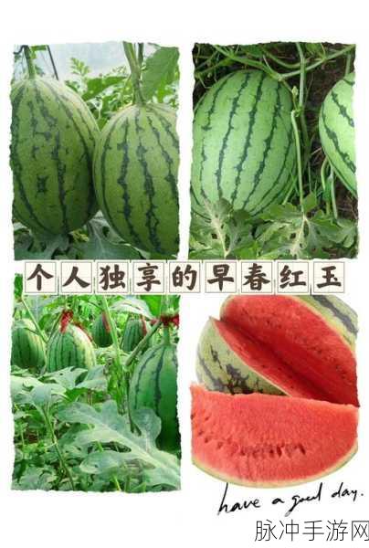 合成个西瓜,休闲闯关新宠,挑战你的合成极限