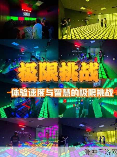 60秒生存避难所,极限挑战下的生存智慧新体验