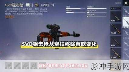 和平精英，揭秘每秒最高伤害的枪械之王