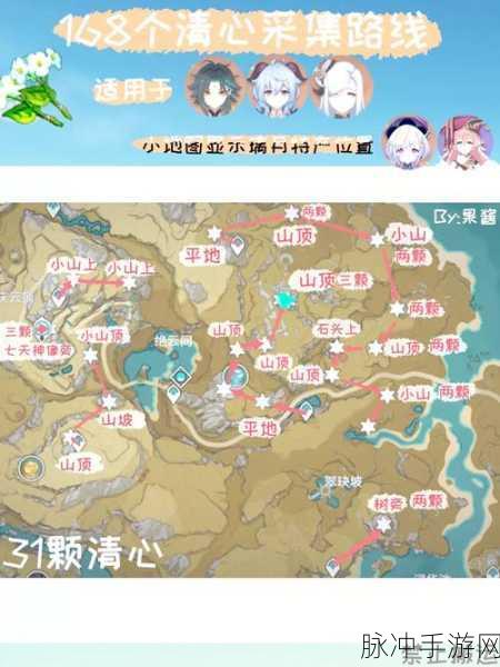 原神名草踪迹揭秘，全面探索草药分布与高效采集法