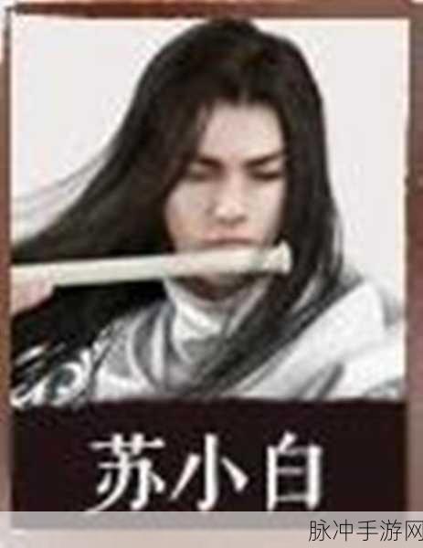 天涯明月刀手游苏小白好感度提升全攻略