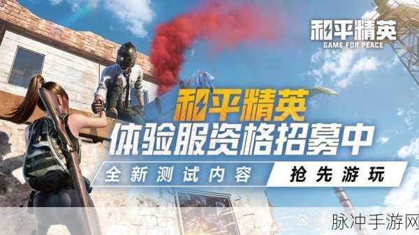刺激战场体验服全攻略,申请与进入的详细步骤