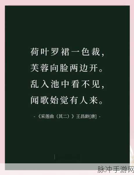 烟雨江湖采莲令，绝美旋律下的演奏全攻略与深度评析