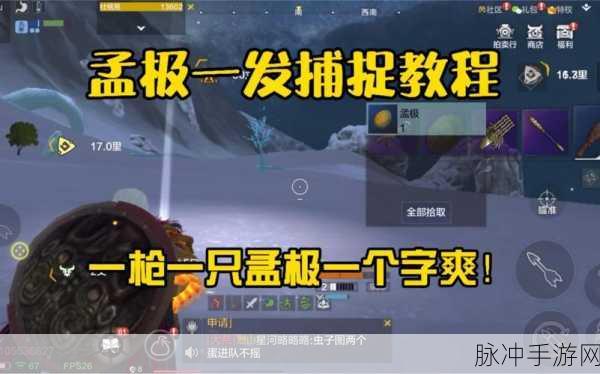 妄想山海,孟极无伤吞噬蝎子全攻略