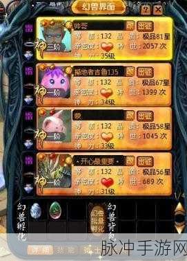 魔域法师升级秘籍，快速成长的终极攻略