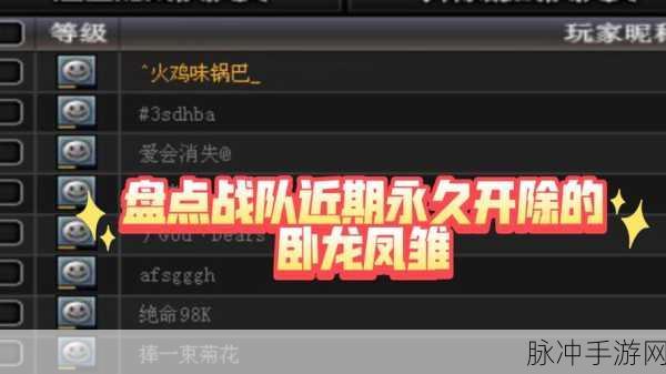 CF战队徽章不显示？这些妙招帮你解决