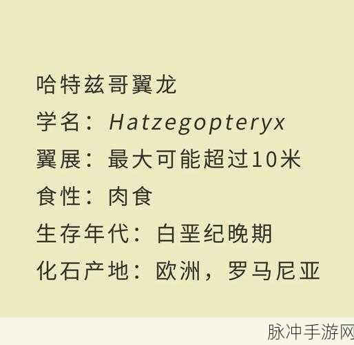 魔兽世界，揭秘翼龙藏匿之处，探险生存终极奥义