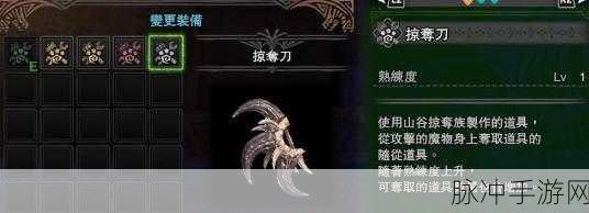 怪物猎人4G抗龙石获取全攻略