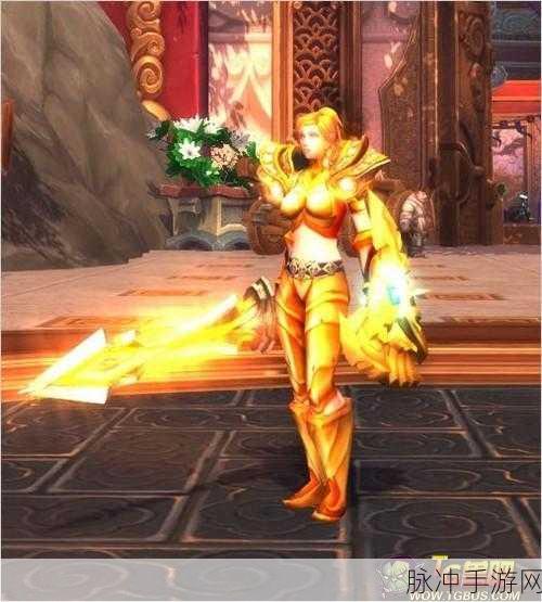 魔兽世界新潮流,白金色板甲幻化风靡玩家圈