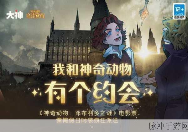 哈利波特魔法觉醒,揭秘神奇生物手提箱进阶挑战攻略