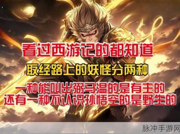 西游梗传深度剖析,妖零妖挑战全攻略,助你一路向西