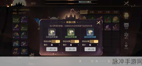 有杀气童话2狮子的试炼，全面解析通关秘籍