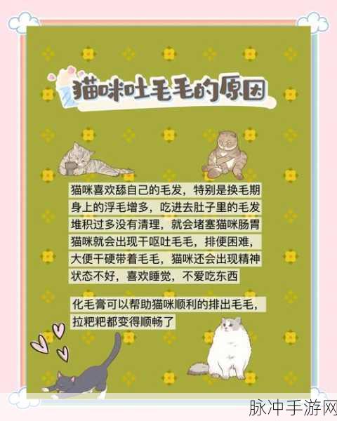 小森生活，揭秘猫毛球的奇妙用途与获取攻略