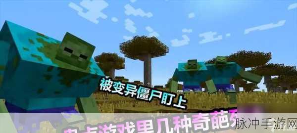 我的世界奇闻异事，藤蔓失踪之谜，物品栏的隐秘挑战