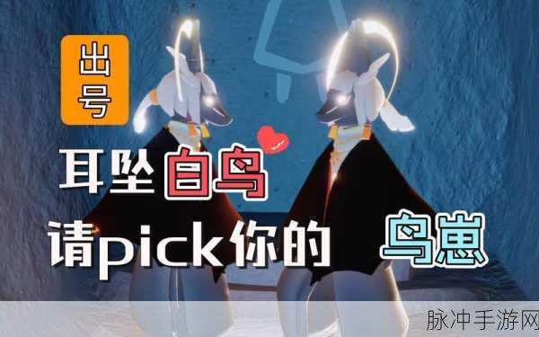 光遇华为平板能否顺利登录白鸟号？