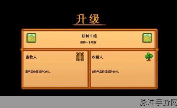 DNF角色名字修改全攻略，轻松换名，个性升级