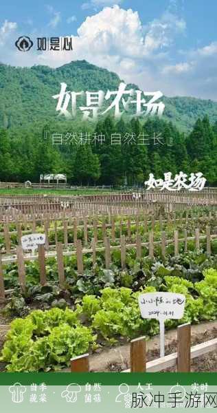 田园大丰收，种菜领红包，休闲经营新体验