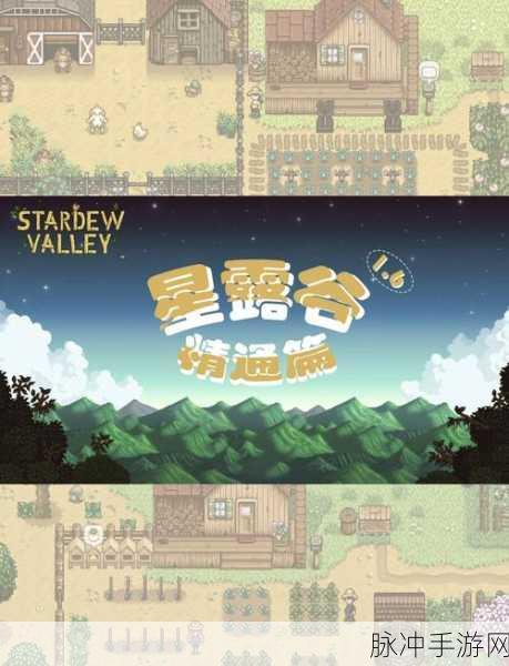 星露谷物语深度探索，齐先生任务与五彩农场玩法全揭秘