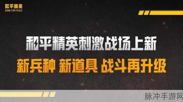 战场焕新颜,刺激战场画质革新,视觉盛宴再启航