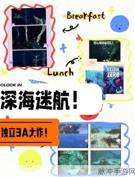 探索无尽深蓝，堆叠海洋冒险之旅等你启程！