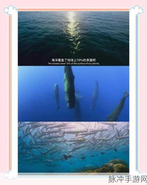 探索无尽深蓝,堆叠海洋冒险之旅等你启程!
