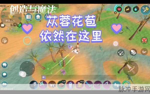 创造与魔法家园升级全攻略,1级至12级材料大揭秘