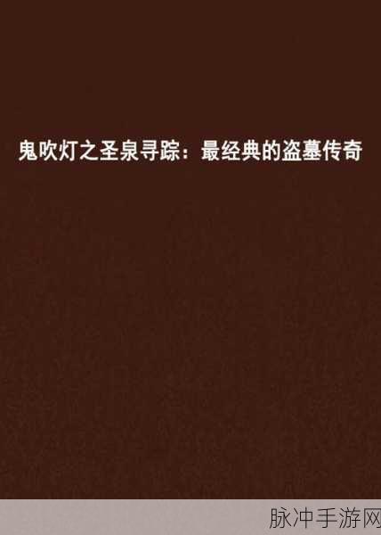 鬼吹灯之圣泉寻踪，探险者的奇幻之旅全揭秘