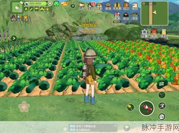 小森生活香鱼获取全攻略，解锁钓鱼新乐趣