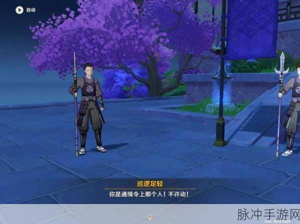 原神足轻庆次郎踪迹任务全攻略，潜行与追踪的艺术
