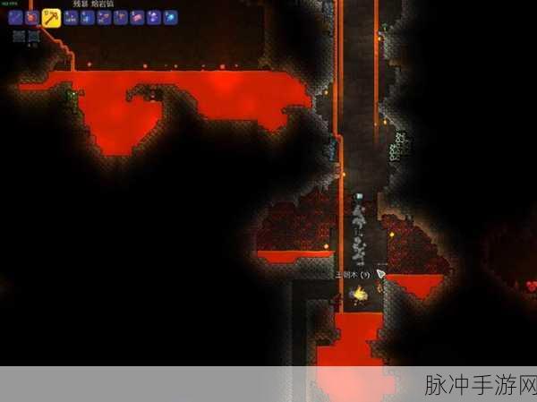 泰拉瑞亚肉山三纹章ID揭秘，勇士游侠咒术全解析