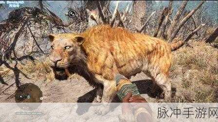孤岛惊魂原始杀戮，揭秘血牙剑齿虎的触发与驯服之道
