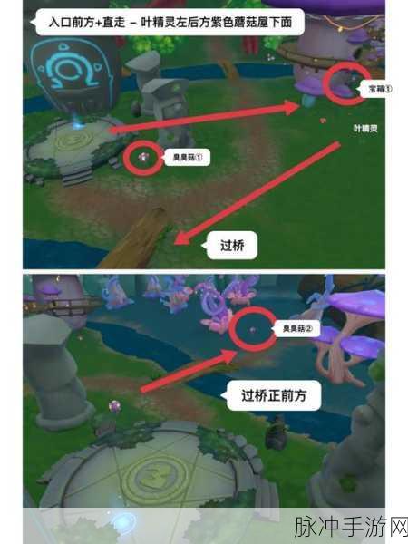 摩尔庄园手游永流森林沙漏获取全攻略