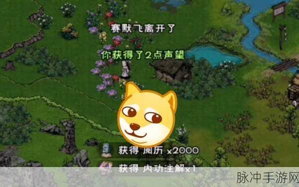 烟雨江湖护花使者支线任务，解锁隐秘剧情的钥匙