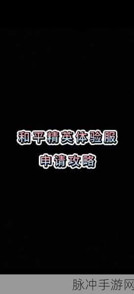 和平精英体验服资格全攻略，抢号入口大揭秘
