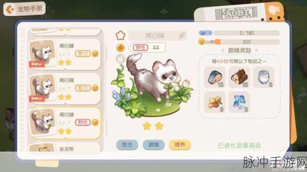 奥比岛宠物赤狐捕捉全攻略，揭秘赤狐出没地点与高效捕捉技巧
