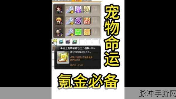 冒险岛龙神之路，揭秘龙装备砸卷秘籍与卷轴实战智慧