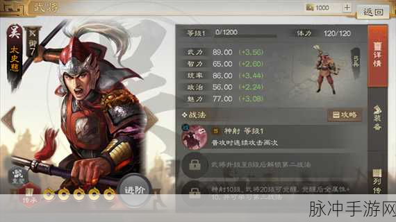 三国志战棋版，顶尖武将排行大揭秘，谁将主宰战场风云？