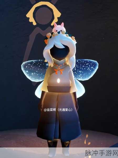 光遇发型大揭秘，公主头与郡主头的绝美差异