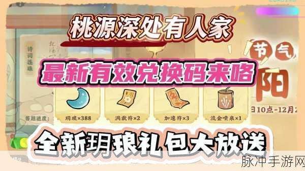 梦想桃源兑换码全攻略，轻松激活，畅享福利