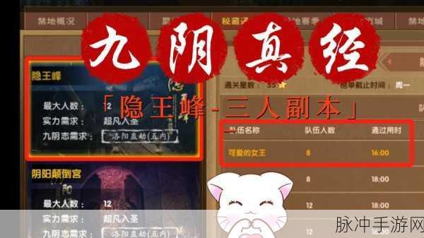 九阴真经深度揭秘,凤凰山庄攻略秘籍,助你武林称雄!