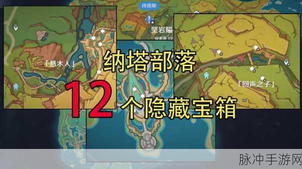 原神纳塔地区回声之子宝箱全揭秘,位置与获取技巧