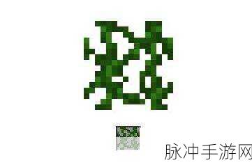 我的世界藤蔓采集秘籍,解锁高效收集新姿势