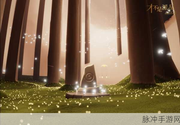 光遇雨林秘境,探寻神庙冥想圣地