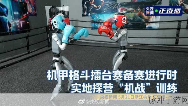机器擂台赛震撼来袭，点燃你的热血机器人格斗梦