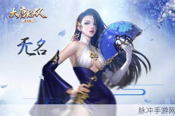 大唐无双,揭秘无名武将的最强搭档选择